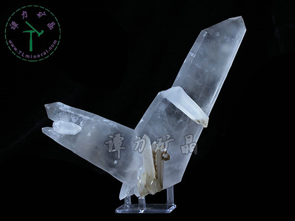 日本律雙晶，內(nèi)蒙古內(nèi)蒙古，東烏珠穆沁旗，額仁高畢,六井,976層,2016年產(chǎn)出