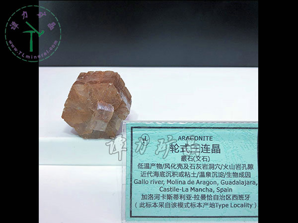 輪式三連晶霰石，西班牙
