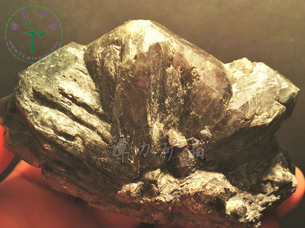 亞歷山大石（變石）輪式雙晶+津巴布韋，12x10x5.0(鎢絲白熾燈下拍攝)