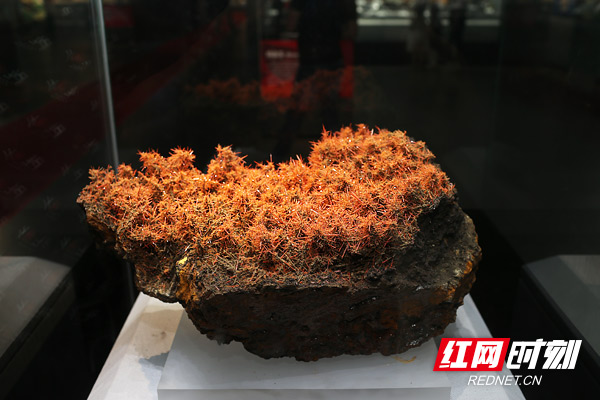譚力礦晶-礦物標本,礦物晶體,地質標本,寶石標本,礦晶 譚力礦晶-礦物標本,礦物晶體,地質標本,寶石標本,礦晶